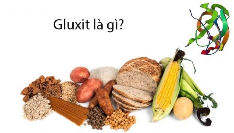 Định nghĩa về gluxit là gì?